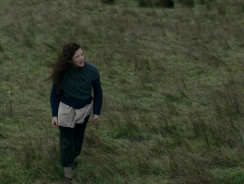   / Wuthering Heights (2011)