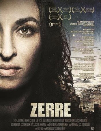  / Zerre (2012)