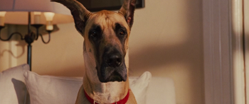  / Marmaduke (2010)