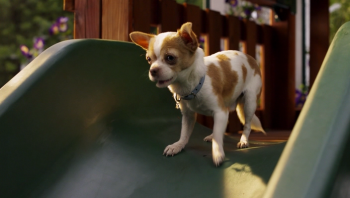   - 2 / Beverly Hills Chihuahua 2 (2010) BDRip