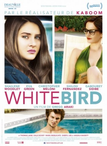     / White Bird in a Blizzard (2014)