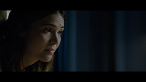 Ҹ  (2018) 4K UHD BDRemux 2160p